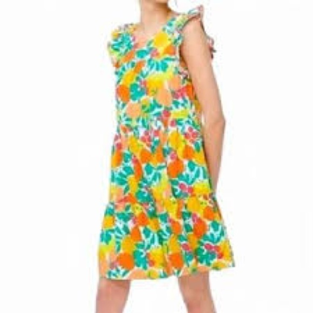 J Crew Fruit Print Ruffle Sleeve Linen Blend Dress Size 4‎